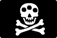 Giii's Pirate Flag