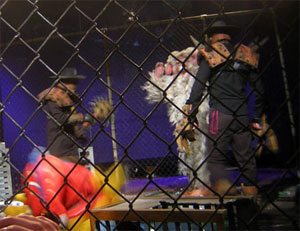 Battel photo